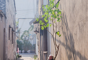 酒乡东浦第 6 张图片