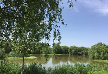 西安浐灞国家湿地公园第 98 张图片
