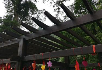 成都天台山旅游景区第 55 张图片