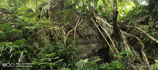 古龙山大峡谷第 96 张图片