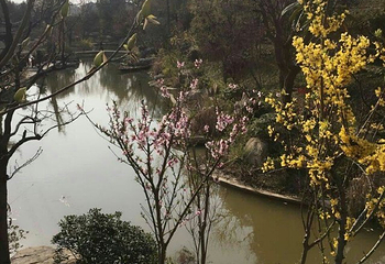 陈园第 14 张图片