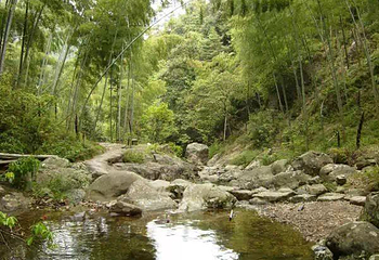 野鹤湫风景区第 9 张图片