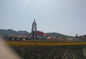 青岛西海岸生态观光园第 17 张图片
