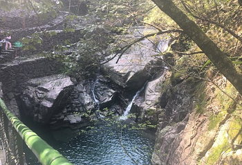 安吉龙王山风景区第 19 张图片
