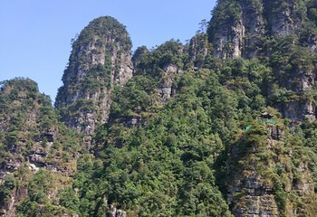 广西大瑶山国家级自然保护区第 29 张图片