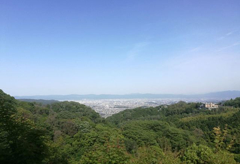 灵山风景区第 18 张图片