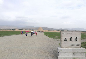 银川森淼生态旅游区第 28 张图片