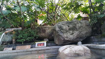 二灵山温泉第 36 张图片