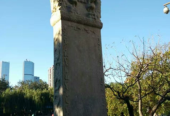 团结湖公园第 43 张图片