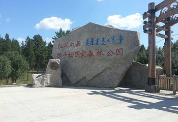 红花尔基樟子松国家森林公园第 47 张图片