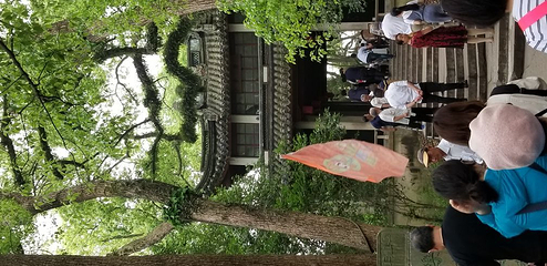 黄古林草编织博物馆第 4 张图片