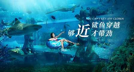 三亚亚特兰蒂斯水世界第 25 张图片