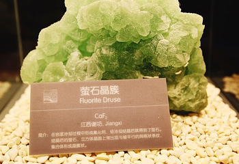 南京直立人化石遗址博物馆第 13 张图片