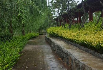 灵山莲花温泉度假区第 42 张图片
