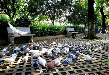 古开福寺第 28 张图片