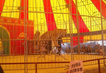 撒野农庄第 4 张图片
