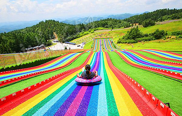 上山庄花海第 22 张图片