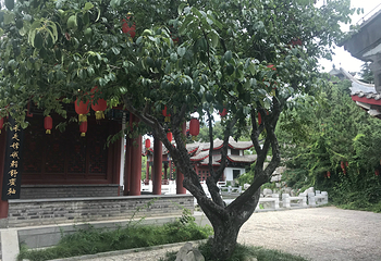 毓璜顶公园第 11 张图片