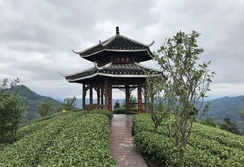 仙人山景区第 35 张图片