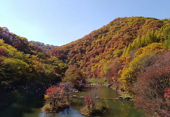 筐子沟生态风景区第 29 张图片
