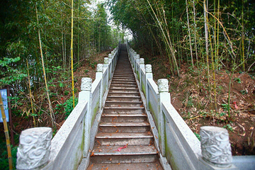 镜泊湖风景名胜区-小孤山第 24 张图片
