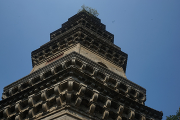 广济寺第 5 张图片