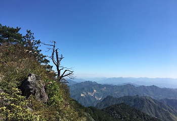 箬寮原始林第 20 张图片