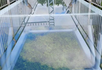 一号沙滩第 9 张图片