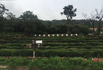 保驾山第 20 张图片