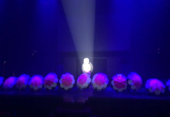 清迈Miracle Cabaret人妖秀第 19 张图片