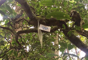 南糯山第 24 张图片