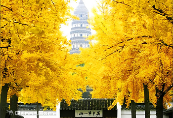 虎丘山风景名胜区第 12 张图片