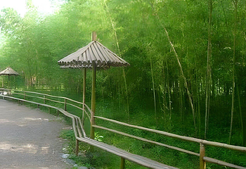 安吉竹博园第 4 张图片