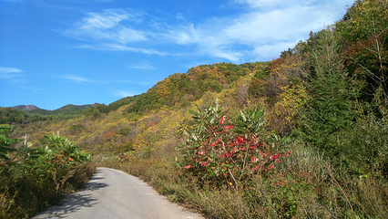 岗山国家森林公园第 15 张图片