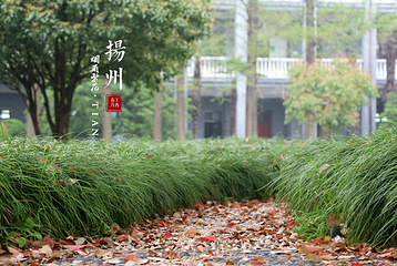 扬州大学(荷花池校区)第 9 张图片