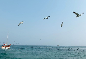 大连海滨旅顺口第 7 张图片
