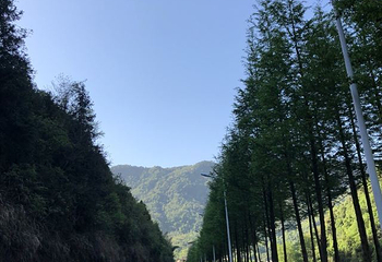 靖安恒茂御泉谷国际度假山庄第 7 张图片