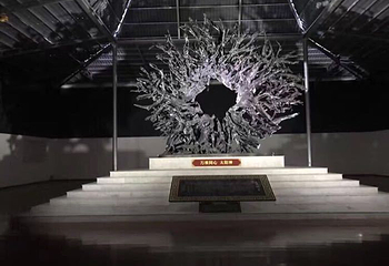 成都乌木艺术博物馆第 8 张图片