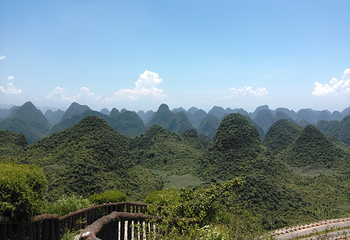 东峰林第 4 张图片