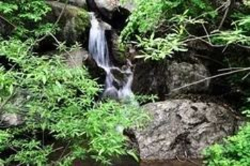 天生桥风景区第 23 张图片
