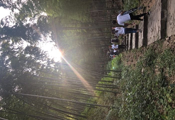 宜兴竹海风景区第 38 张图片