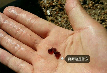 瑞丽淘宝场第 20 张图片
