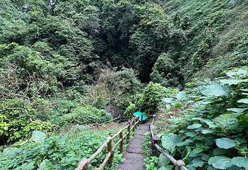 雷琼海口火山群世界地质公园第 104 张图片