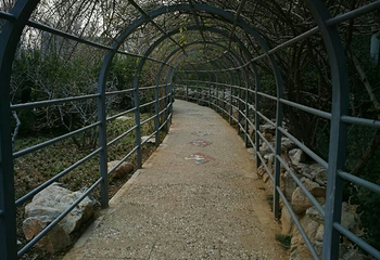 泉城公园第 24 张图片