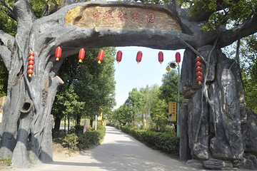 中华红枫园第 5 张图片