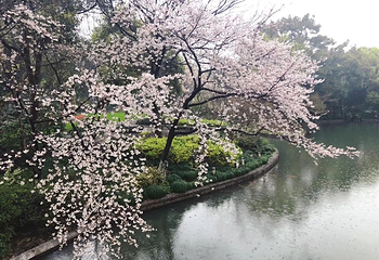 风波亭第 3 张图片
