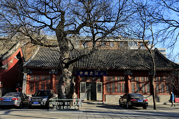 报国寺第 14 张图片