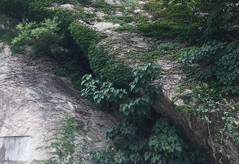 保驾山第 19 张图片