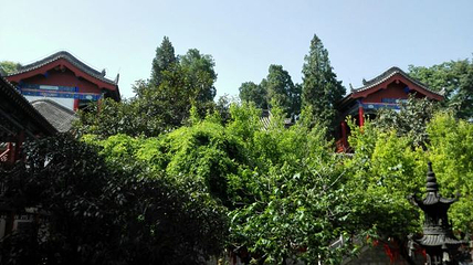 楼观台国家森林公园第 82 张图片