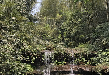 蜀南竹海风景名胜区-忘忧谷第 13 张图片